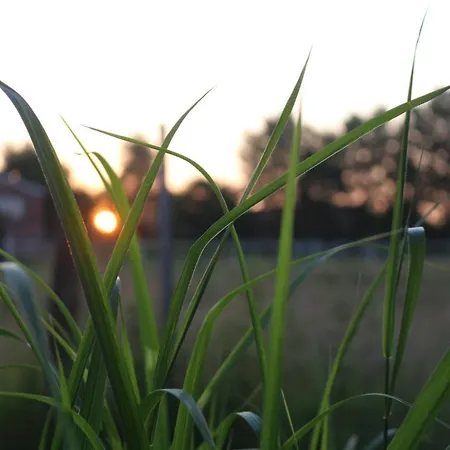 Apartamento Mensteder Utkiek Großheide