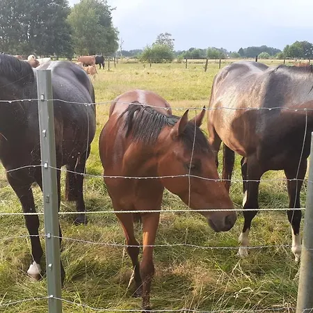 Mensteder Utkiek Lejlighed Großheide