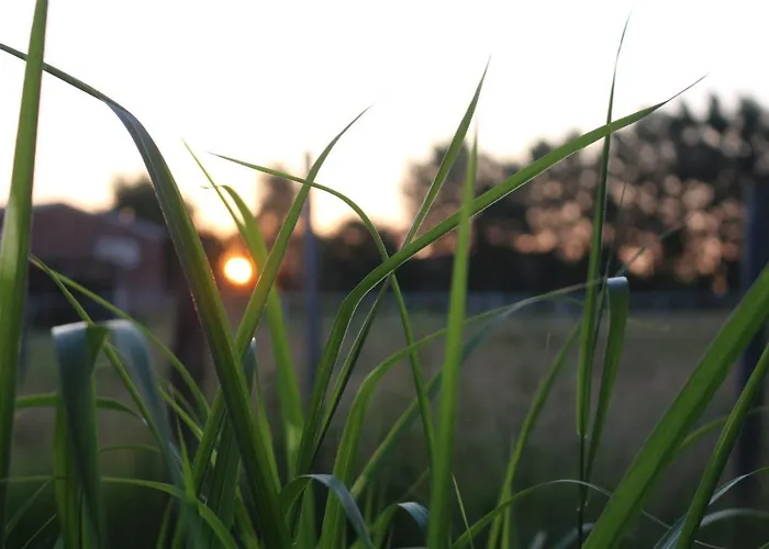 Appartement Mensteder Utkiek Großheide